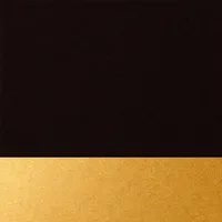 Schwarz mit goldener Spitze