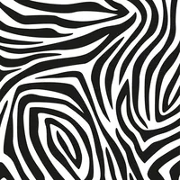 Zebra - MONABI