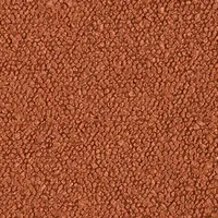 Flamingo - BOUCLE